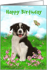 Birthday with a Cute Border Collie Sitting in a Flowered Meadow card
