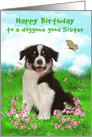 Birthday to Sister with a Border Collie Sitting in a Flower Meadow card