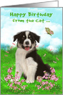 Birthday from the Cat with a Border Collie Sitting in a Flower Meadow card