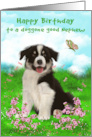 Birthday to Nephew, A cute border collie sitting in a flower meadow card