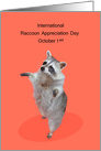 International Raccoon Appreciation Day Observed on October 1st card