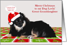 Christmas to my Dog-Lovin’ Great Granddaughter with a Pomeranian card