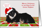 Christmas to my Dog-Lovin’ Great Nephew with a Pomeranian and a Hat card
