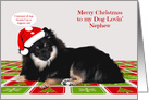 Christmas to my Dog-Lovin’ Nephew with a Pomeranian Wearing a Hat card