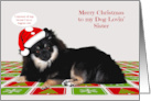 Christmas to my Dog Lovin’ Sister with a Pomeranian Wearing a Hat card