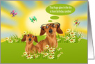 Birthday Age Humor with a Dachshund Wearing Glasses in a Meadow card