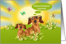 Thank You to Friend with a Dachshund Wearing Glasses in a Meadow card