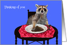 Thinking of You during COVID-19 with a Raccoon Happily Eating Dirt card