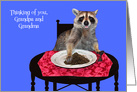 Thinking of You Grandpa and Grandma during COVID-19 with a Raccoon card