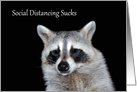 Social Distancing During COVID-19 with Raccoon Sticking Out His Tongue card