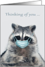 Thinking Of You During COVID-19 with a Raccoon Wearing a Mask card