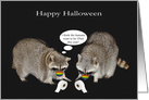 Halloween During COVID-19 with Raccoons Wearing Masks with TP card