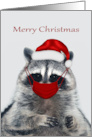 Christmas during Covid 19 with a Raccoon wearing a Mask and Hat card
