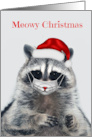 Christmas during Covid 19 with a Raccoon wearing a Cat Mask and Hat card