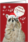 Christmas with an Adorable Raccoon Wearing a Santa Claus Hat card