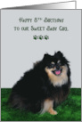 8th Birthday a Smiling Pomeranian Sitting on a Shaggy Rug card