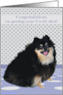 Congratulations on Getting Your Covid Shot with a Happy Pomeranian card