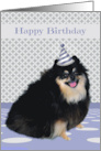 Birthday with a Happy Adorable Pomeranian Wearing a Party Hat card