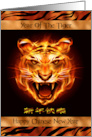 Chinese New Year The Year of the Tiger with a Fierce Looking Tiger card