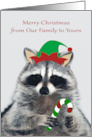 Christmas from Our Family to Yours with an Elf Raccoon and Candy Cane card