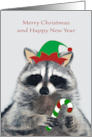 Christmas with an Elf Raccoon Wearing a Hat Holding a Candy Cane card