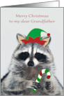 Christmas to Grandfather with an Elf Raccoon Holding a Candy Cane card