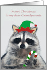 Christmas to Grandparents with an Elf Raccoon Holding a Candy Cane card