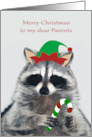 Christmas to Parents with an Elf Raccoon Holding a Candy Cane card