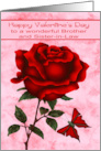 Valentine’s Day to Brother and Sister in Law with a Rose and Butterfly card