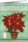 Christmas to Brother and Fiance with a Festive Pot of Poinsettia card