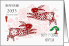 Baby’s 1st Chinese New Year Custom 2035 Year of the Rabbit card