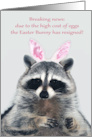 Easter with High Cost of Eggs Humor a Raccoon Wearing Bunny Ears card