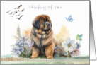 Thinking of You with a Saint Bernard Sitting in Flowers and Birds card