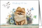 Thinking of You with a Gold Pomeranian Sitting in Flowers and Birds card