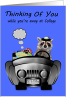 Thinking Of You Away at College with a Female Raccoon Driving a Car card