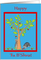 Tu B’Shvat with Raccoons Under an Apple Tree in a Red Frame card