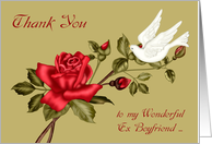 Thank You and Encouragement to Ex Boyfriend, a dove with a red rose card