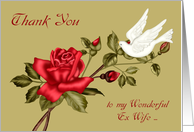 Thank You and Encouragement to Ex Wife, a dove with a red rose card