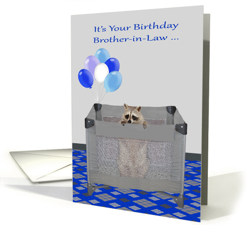 Birthday to Brother-in-Law, humor, raccoon in playpen... (1360642)