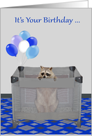 Birthday with a Cute Raccoon in a Playpen and a Bunch of Balloons card