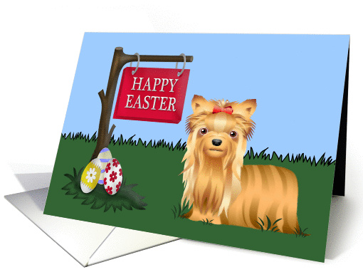 Easter from the dog, general, Shih Tzu standing next to a... (1366312)