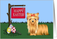 Easter from the dog,...