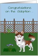 Congratulations on Adoption of an Australian Husky with a Pretty Yard card