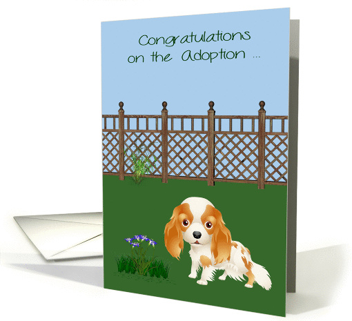 Congratulations On Adoption, Cocker Spaniel, Rescue,... (1366764)