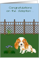 Congratulations On Adoption, Cocker Spaniel, Rescue, Shelter, flowers card