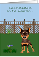 Congratulations On Adoption, Doberman Pinscher, Rescue, Shelter card