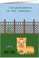 Congratulations on Adoption of Shih Tzu Card Dog Rescue from Shelter card