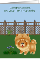Congratulations On New Pet, Chow Chow, dog in a yard with flowers card