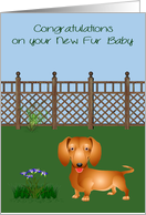 Congratulations On New Pet Dachshund with a Dog in a Yard and Flowers card
