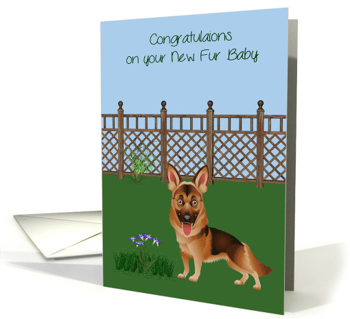 Congratulations On New Pet German Shepherd with a Yard... (1367168)